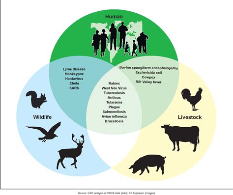 World Zoonoses Day 2019 How To Prevent Zoonotic Diseases Like Rabies
