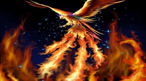 Phoenix Bird Wallpaper Hd Pixelstalknet