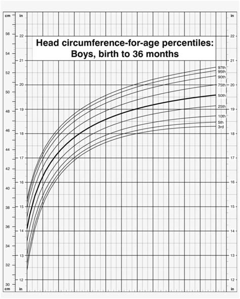 Head Circumference Percentile Chart A Visual Reference Of Charts