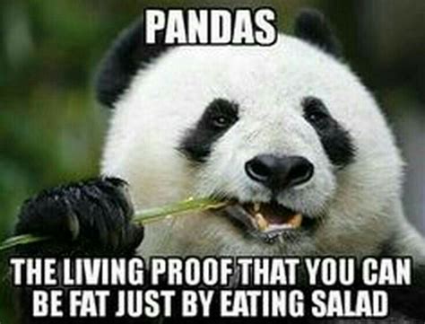 Pin By Yvette Johnson On Haha Hehesnort Snort Panda Diet