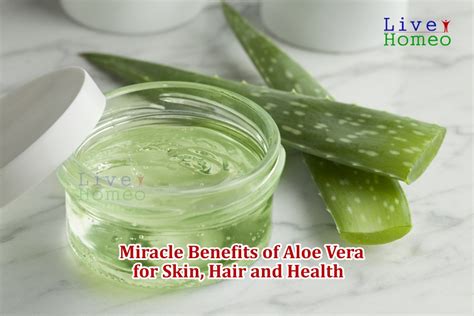 Palm suggests blending a piece of aloe vera with plain yogurt (which research shows can moisturize and increase brightness). Miracle Benefits of Aloe Vera for Skin, Hair and Health ...