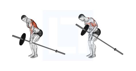 Barbell One Arm Bent Over Row Guide Benefits And Form