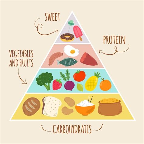Food Chain Pyramid Template