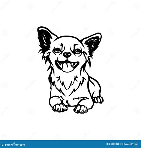 Chihuahua Dog Lying Chihuahua Vector Stock Isolated Illustration On