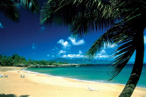 Maui Hawaii Vacation Packages Honeymoon Spots Hawaii Honeymoon Maui