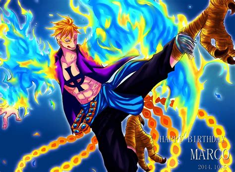 One Piece Marco Wallpapers Top Free One Piece Marco Backgrounds