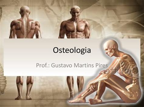Osteologia