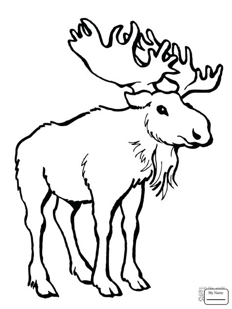 Cartoon Moose Drawing At Getdrawings Free Download