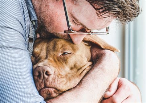 Should You Be Allowed Time Off Work To Grieve For A Pet
