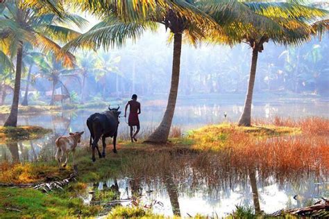 Nostalgic Kerala Kerala Village Photos
