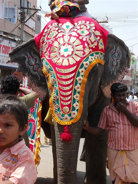 Indian Temple Procession Lakesideindia Elephant Painting Elephant