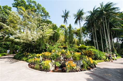 Singapore Botanic Gardens Homepage