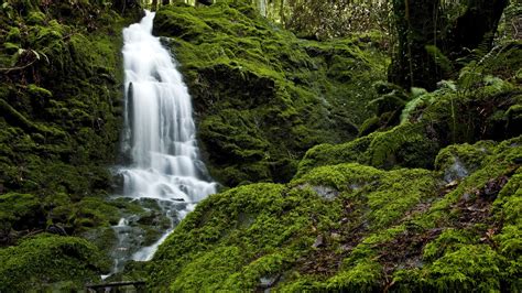 Waterfall In Mossy Forest Image Id 343379 Image Abyss