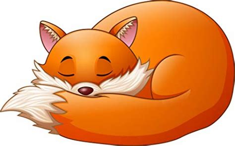 Download High Quality Fox Clipart Sleeping Transparent Png Images Art