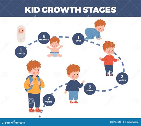 Fases De Crescimento Infantil Ilustração Infográfica Do Vetor Plano