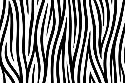 Fondo De Pantalla Zebra Wallpaper Fondo Zebra Fondo De Pantalla