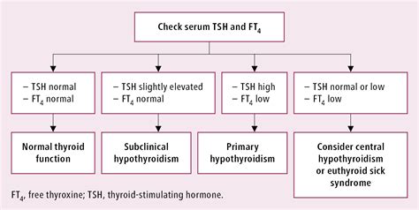 Figure 03110228 Diagnostic Algorithm Of Hypothyroidism Based On Tsh