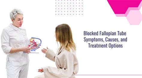 Causes Symptoms And Treatment Options For Blocked Fallopian Tubes