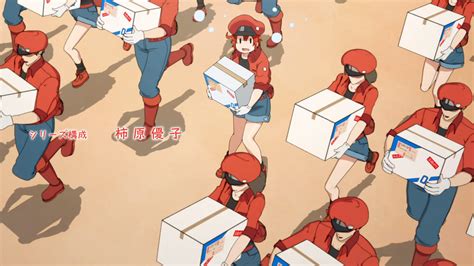 Cells At Work Ep 1 First Impressions Xenodudes Scribbles