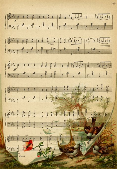 Partition Music Oiseaux Vintage Photo Stock Libre Public Domain Pictures