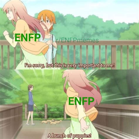 😜 Enfp Memes Every Day On Instagram Follow Enfpmemesdaily For Your