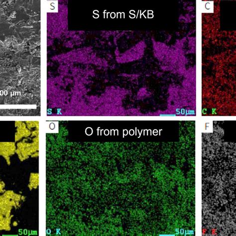 Cross Section Image Of 3d Pol S Cathode With Element Mapping Of Sulfur Download Scientific