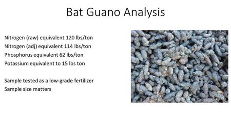 Bat Guano Fertilizer Properties Ufifas Extension St Lucie County
