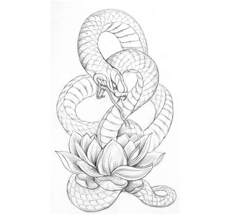 Imagenes Bonitas A Blanco Y Negro Para Dibujar Imagenes Blog