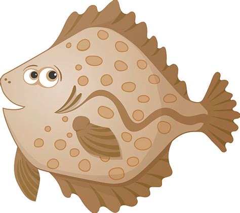 Royalty Free Flounder Clip Art Vector Images And Illustrations Istock