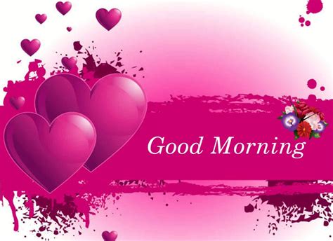 By using this app, users can easily share any image as a greeting card for good morning messages to your lovers, boyfriend, husband. Love Images HD Download: Good Morning Love Images