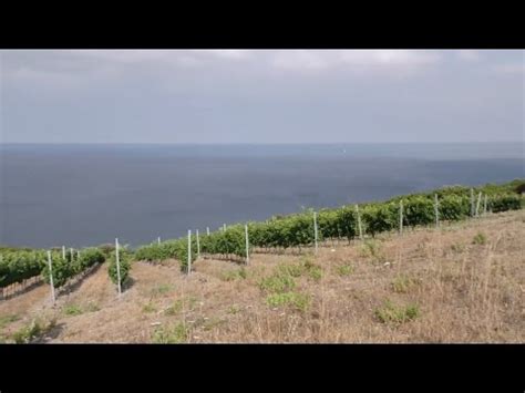 Vins De Corse 27e Foire De Luiri En Haute Corse Du 9 Au 10 Juillet 2016 YouTube