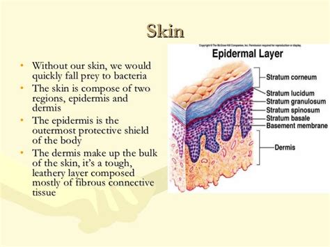 The Skin Presentation