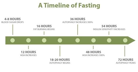 What Is Intermittent Fasting A Beginners Guide Your Low Carb Hub
