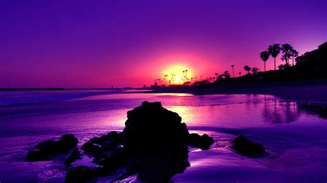 Free Download Gorgeous Purple Sunset Wallpaper High Definition Desktop