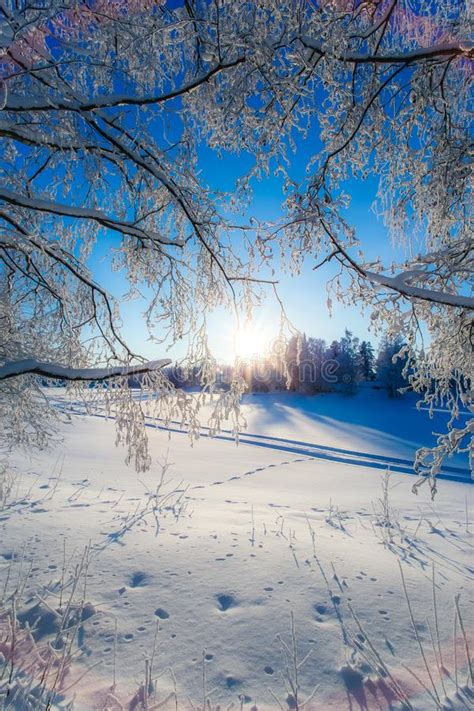 Very Cold Winter Day Scenery From Sotkamo Finland Stock Image Image