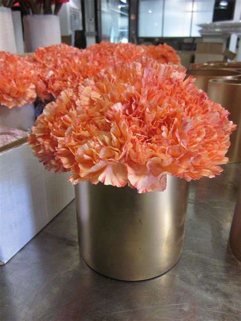 Adorable Orange Carnation Arrangement Tangerine Wedding Carnations
