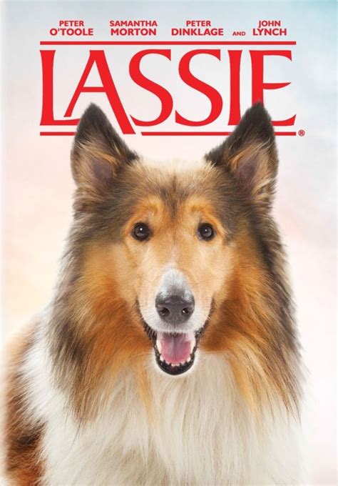 Best Buy Lassie Dvd 2005
