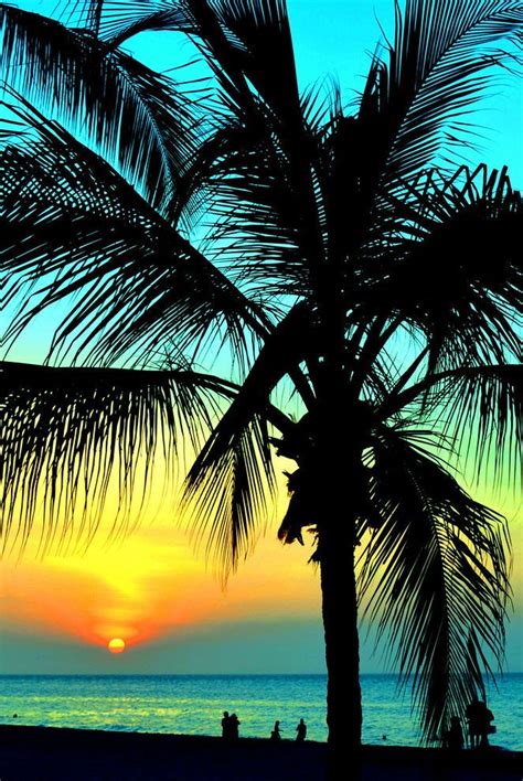 The Sun Is Setting Over The Ocean With Palm Trees In Front Of It And People Walking On The Beach