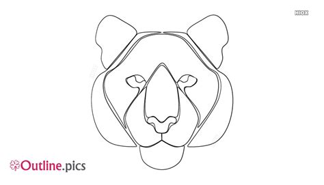 Tiger Outline Images Pictures