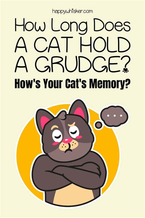 How Long Does A Cat Hold A Grudge Hows Your Cats Memory