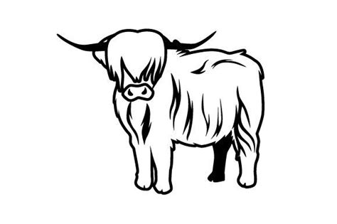 Highland cow, Scottish highland cow, Cow drawing