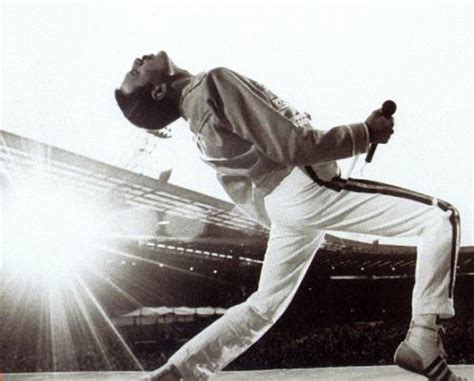 Hoje Freddie Mercury Completaria 66 Anos 35 Fotos Mdig