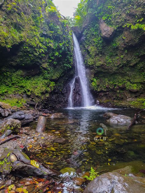 featured photo jacko falls simply beautiful dominica news online