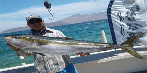Festejan El Tercer Torneo De Pesca La Baja 2017 Big Fish 360°