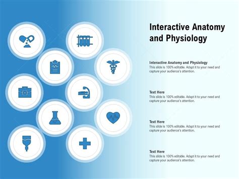 Interactive Anatomy And Physiology Ppt Powerpoint Presentation Icon