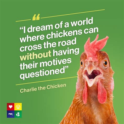 Charlie The Chicken Quote Chickens Vegan Quotes Chicken Quotes
