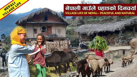 Nepali Mountain Village Lifestyle Nepal Village Life Iamsuman