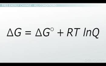 The reason why the sport is called. The Relationship Between Free Energy and the Equilibrium ...