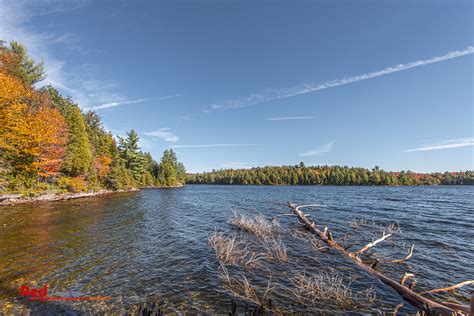 Algonquin Park On Nature And Parks Outdoor