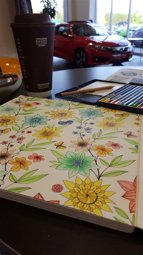 My coloring using watercolor pencils | Watercolor pencils, Pencil